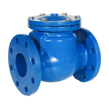 Duction Cast Iron Body Flang Swing Check Valve